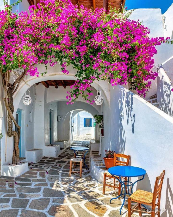 Villa Kavalli Paros Dhragoulas Exterior foto